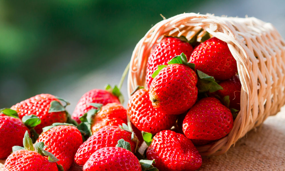 Las fresas pueden funcionar como protector de estómago