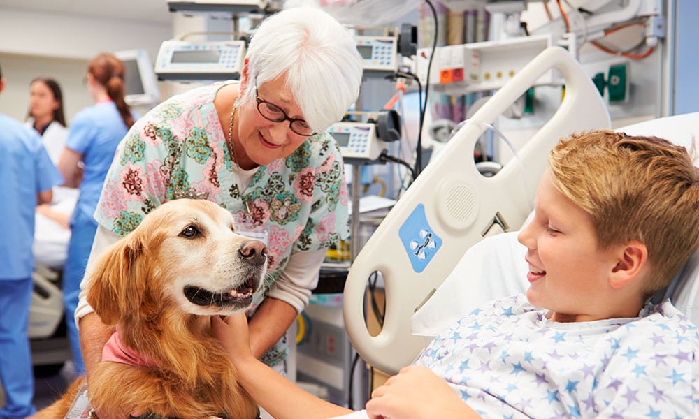 Quirónsalud permite la terapia con perros en su hospital de Málaga