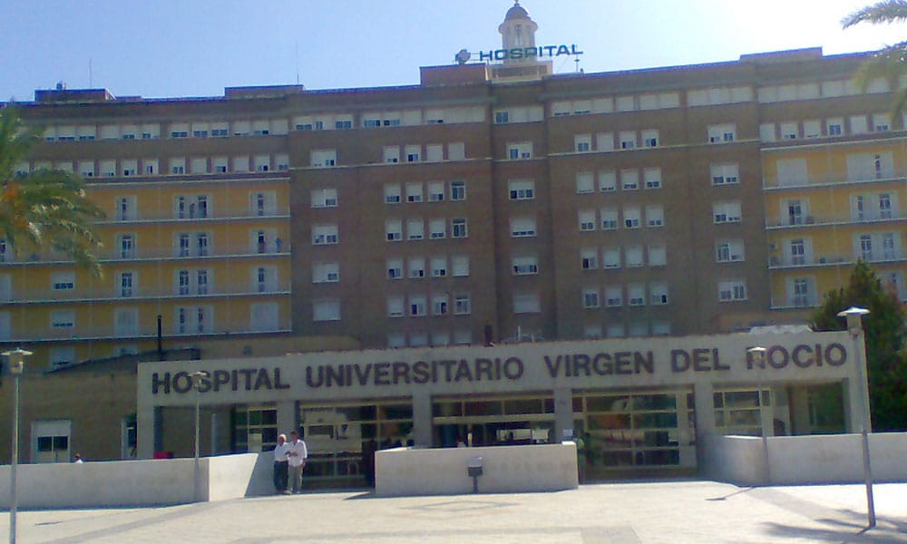 El registro español sitúa al Hospital Universitario Virgen del Rocío como el centro con más donantes y trasplantes de riñón de España