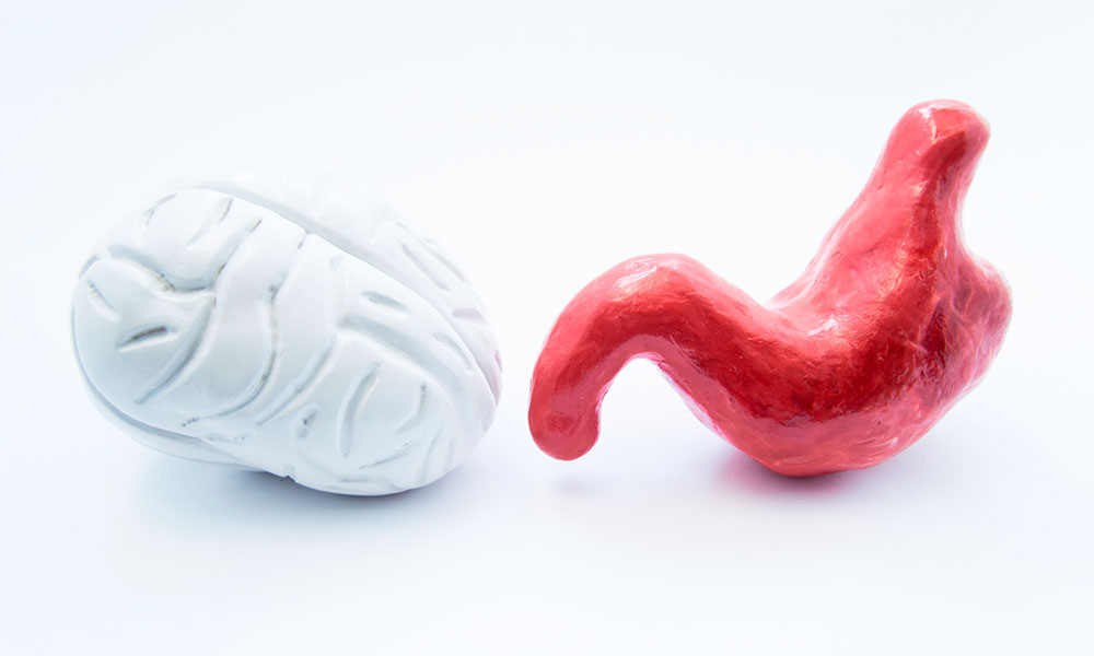 La conexión intestino-cerebro y su influencia en el estado de salud