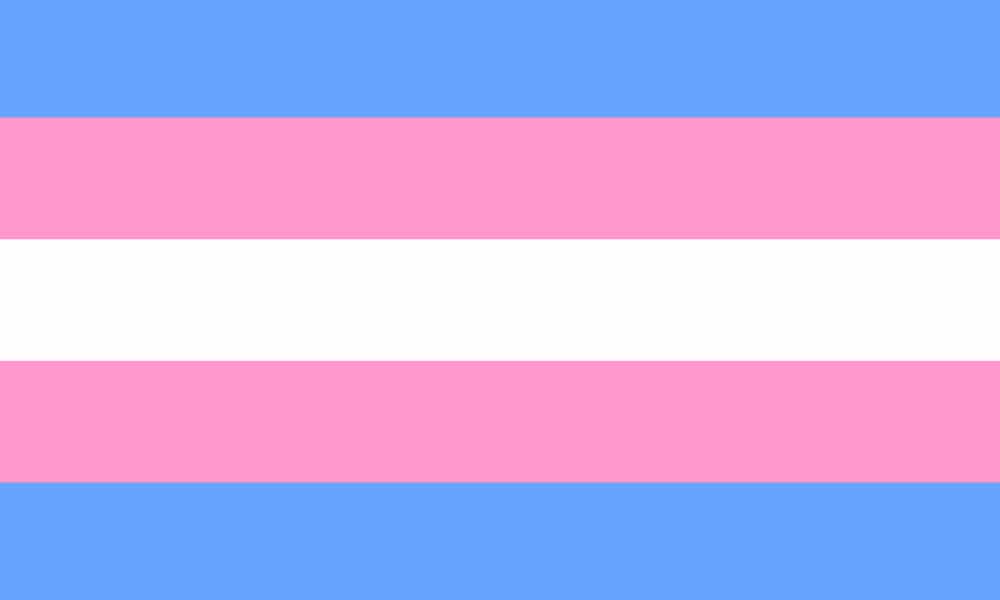 En Canarias se presenta a los colectivos LGTBI el Protocolo de Atención Sanitaria a las personas transexuales