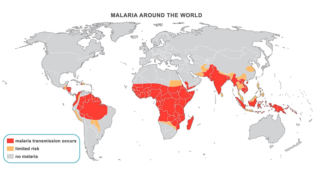 La malaria más mortífera llegó a Europa desde la India