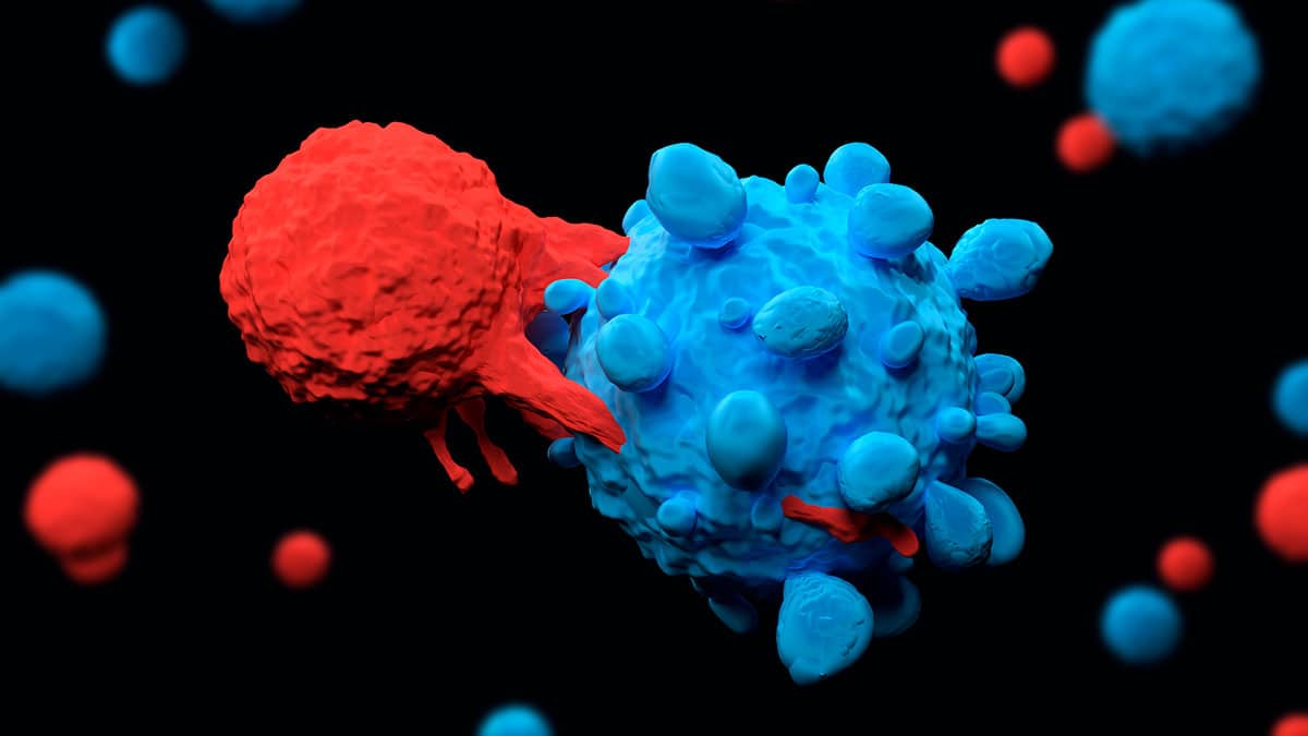 Nuevas células TCAR podrían ayudar a evitar la recaída de pacientes de cáncer sanguíneo