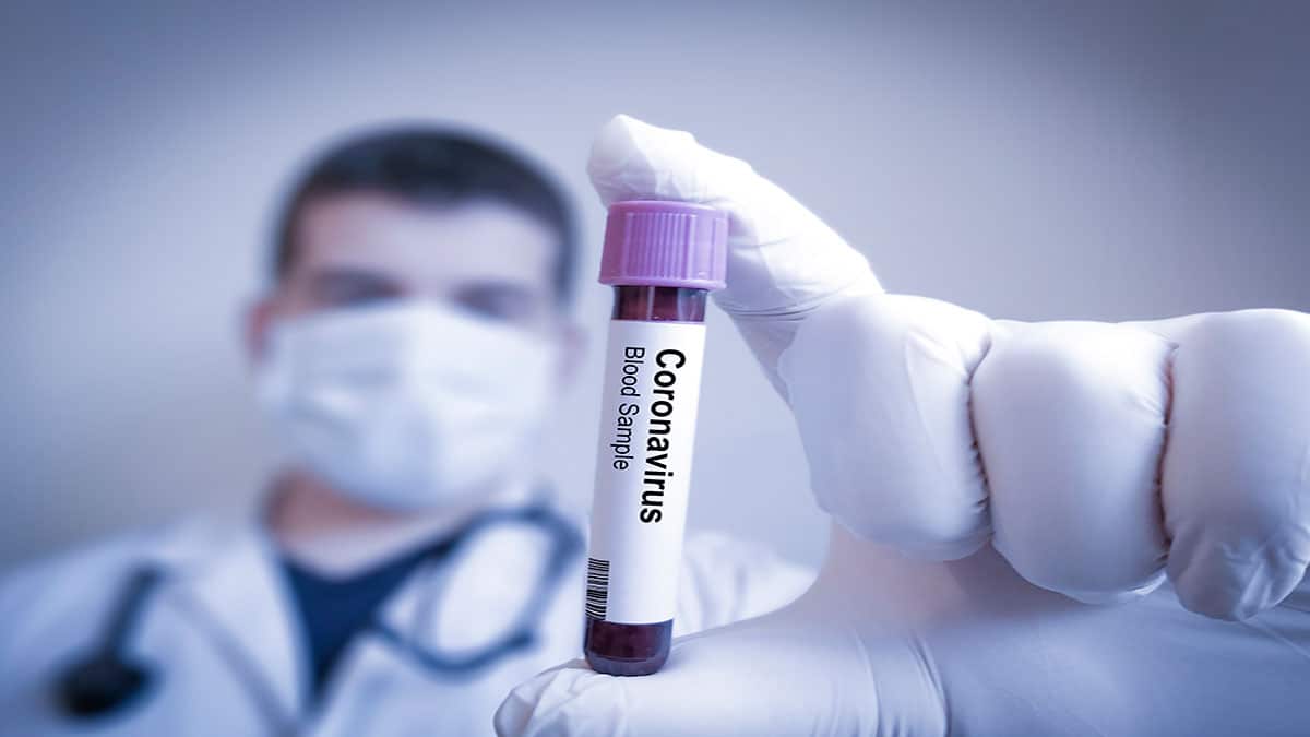 Coronavirus: en busca de una vacuna efectiva