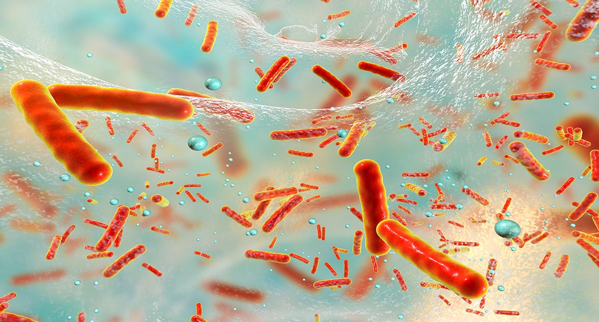 Descubiertos dos nuevos antibióticos que matan bacterias de una forma diferente