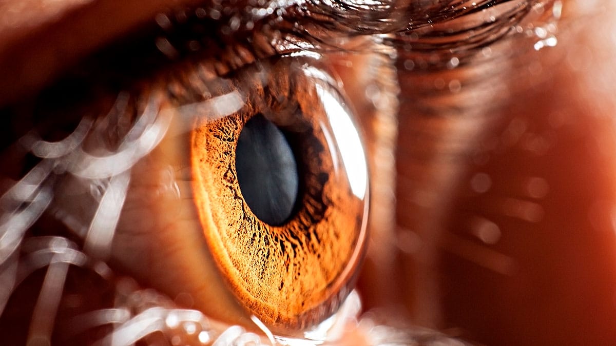¿Es posible detectar una enfermedad cerebral con el ojo?