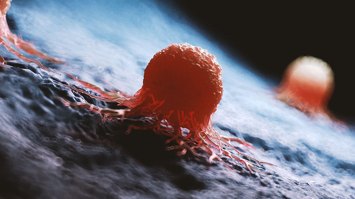 En busca del talón de Aquiles de las células cancerosas