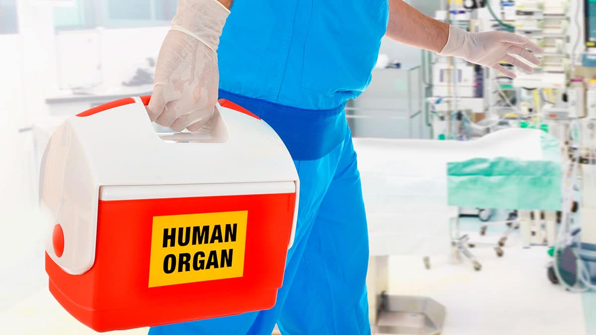 ¿Qué le sucede al cuerpo cuando eres donante de órganos?