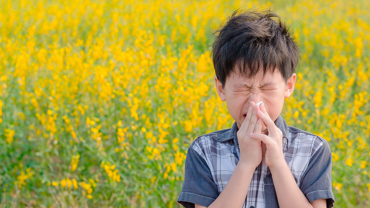 Las temporadas de alergia comienzan antes debido al cambio climático